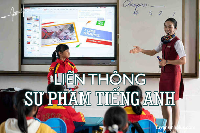 liên thông sư phạm tiếng anh