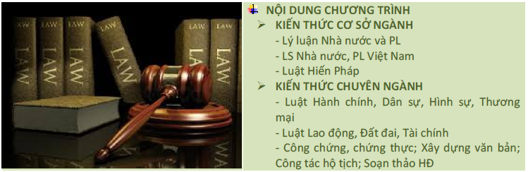 Nội dung chương trình học ngành dịch vụ pháp luật