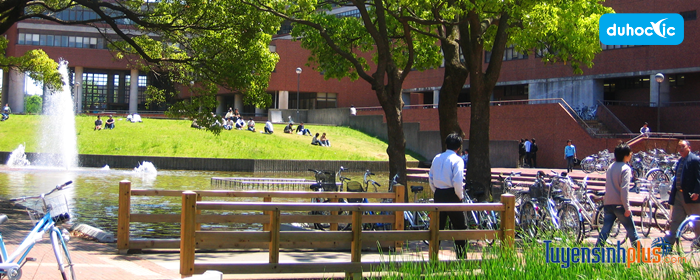 Lưu bản nháp tự động